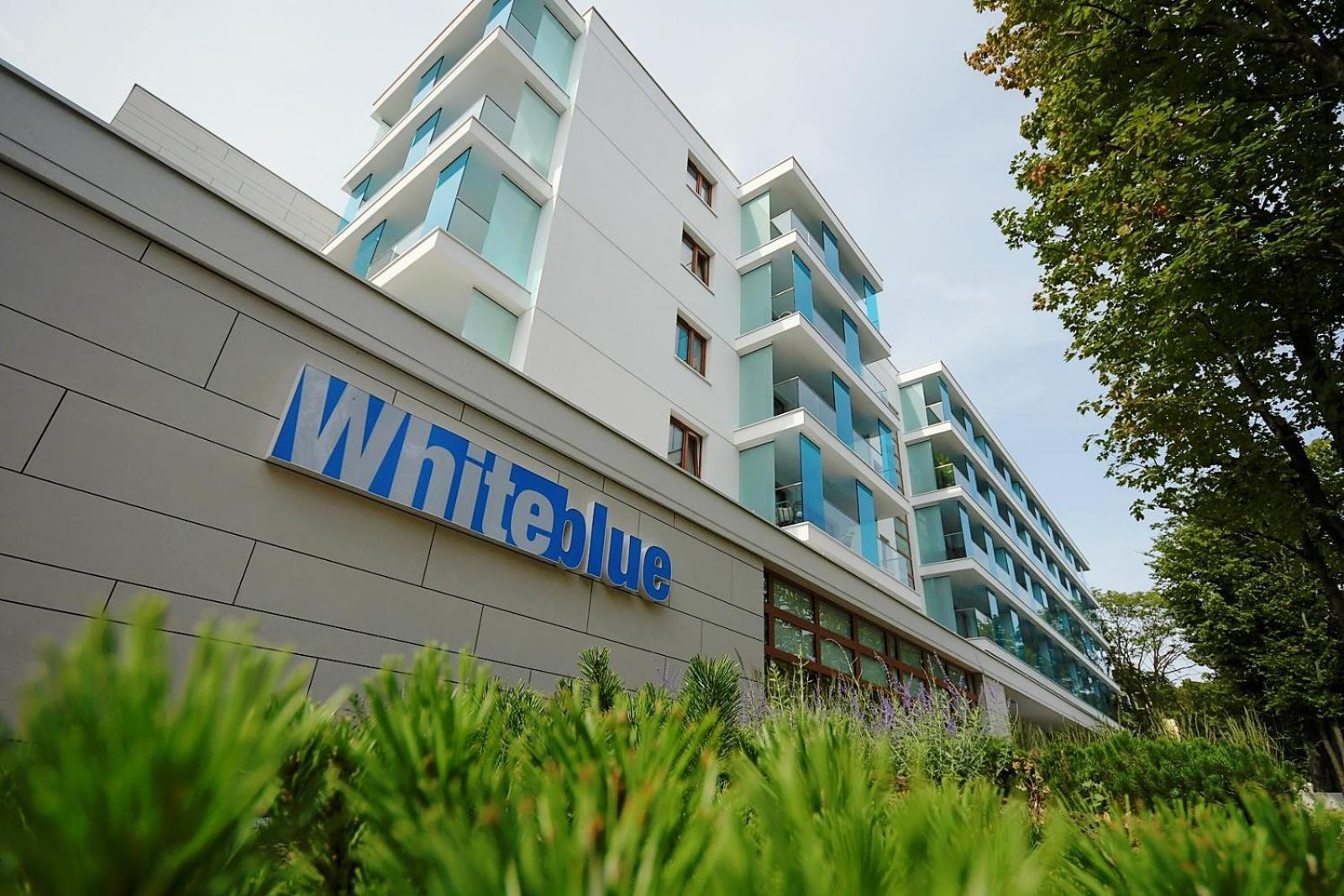 Blue Wave Apartment
